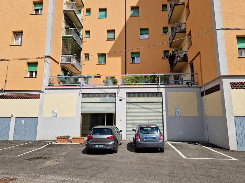 immagine annuncio 2 di 7