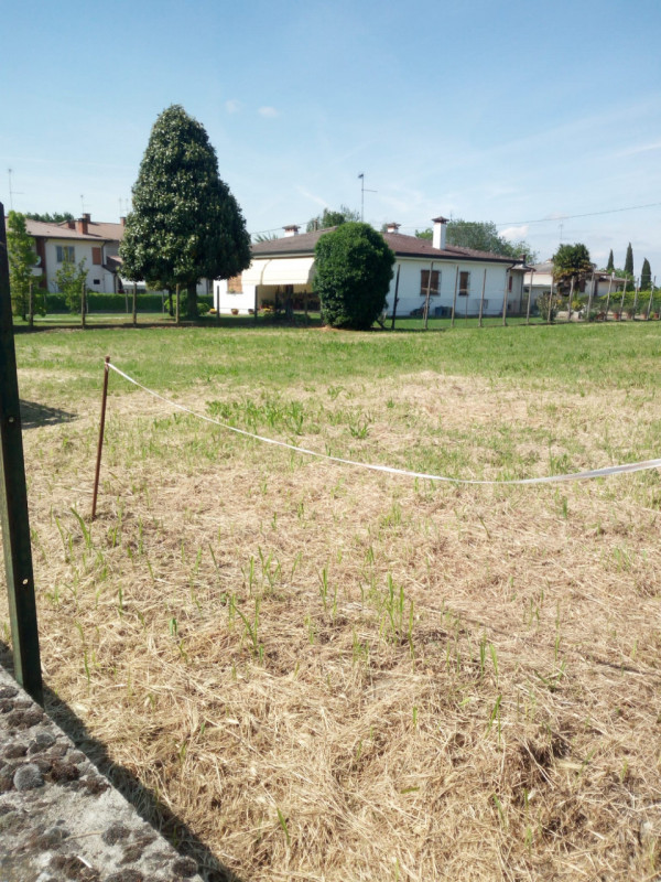 immagine annuncio 2 di 4