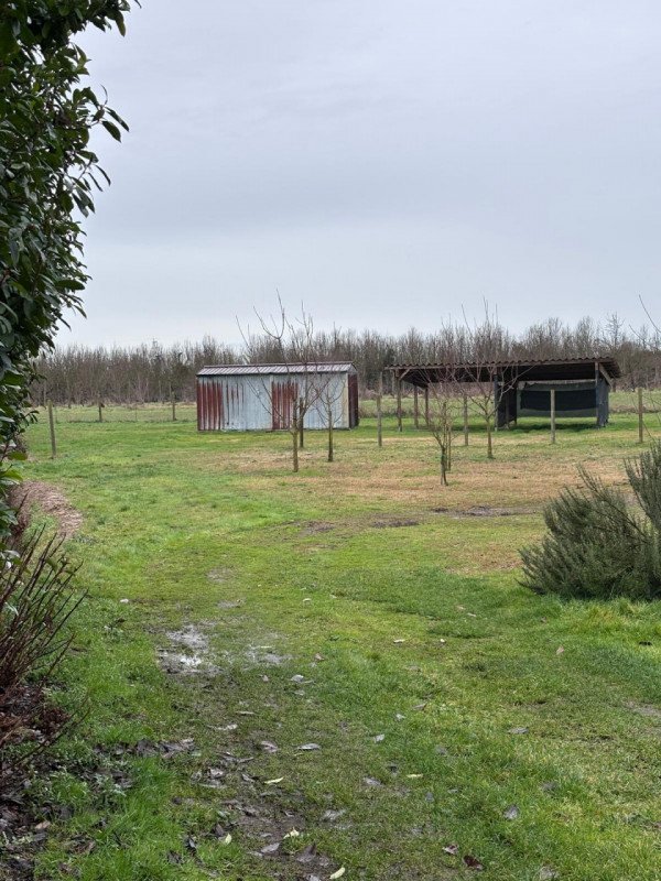 immagine annuncio 2 di 8