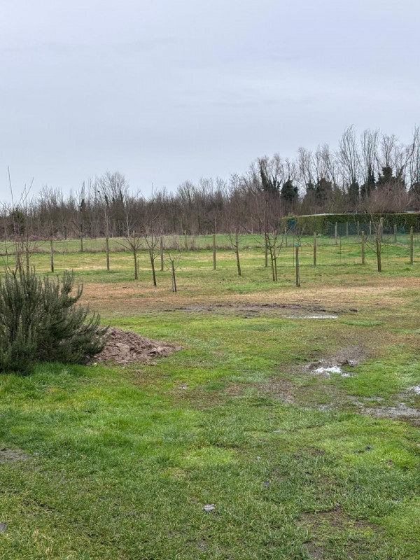 immagine annuncio 6 di 8