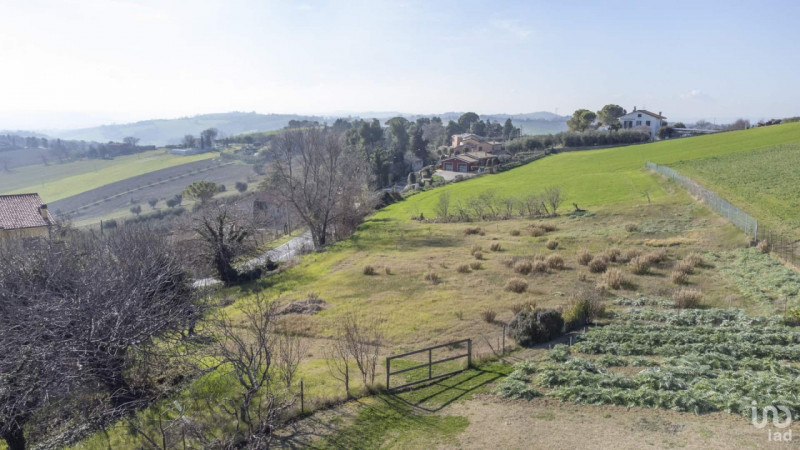 immagine annuncio 5 di 6