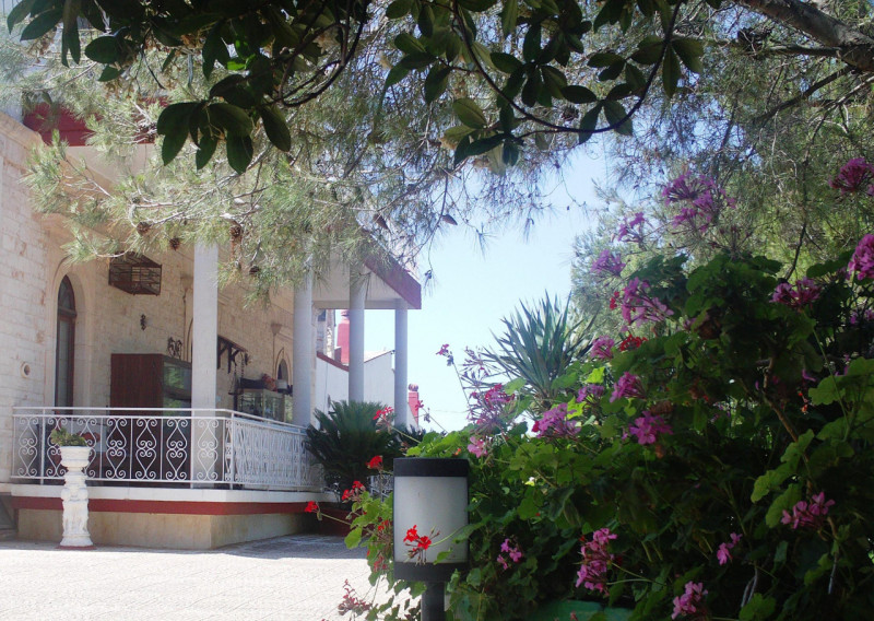 immagine annuncio 5 di 8