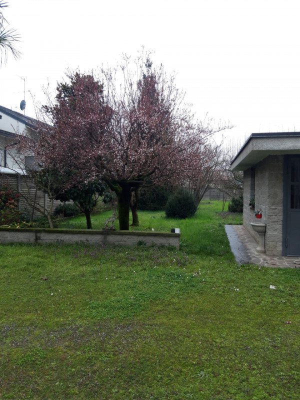 immagine annuncio 2 di 7