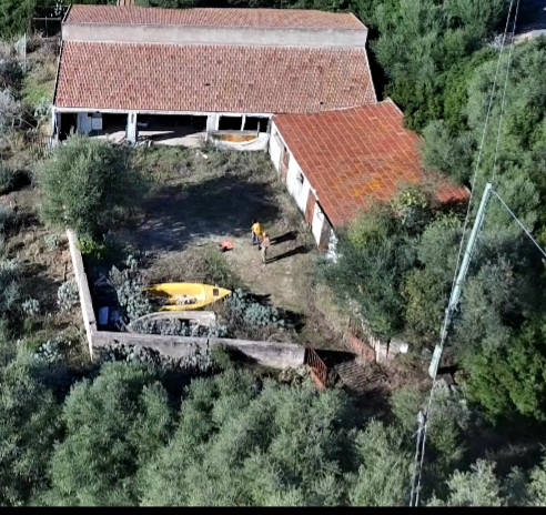 immagine annuncio 2 di 4