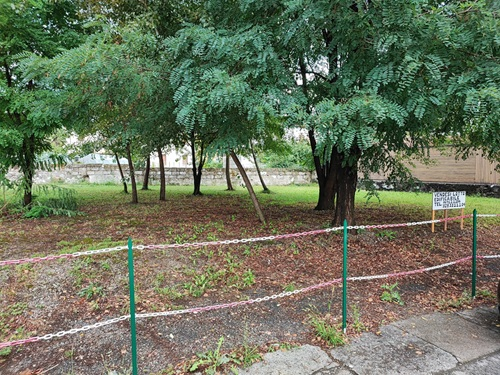 immagine annuncio 3 di 6