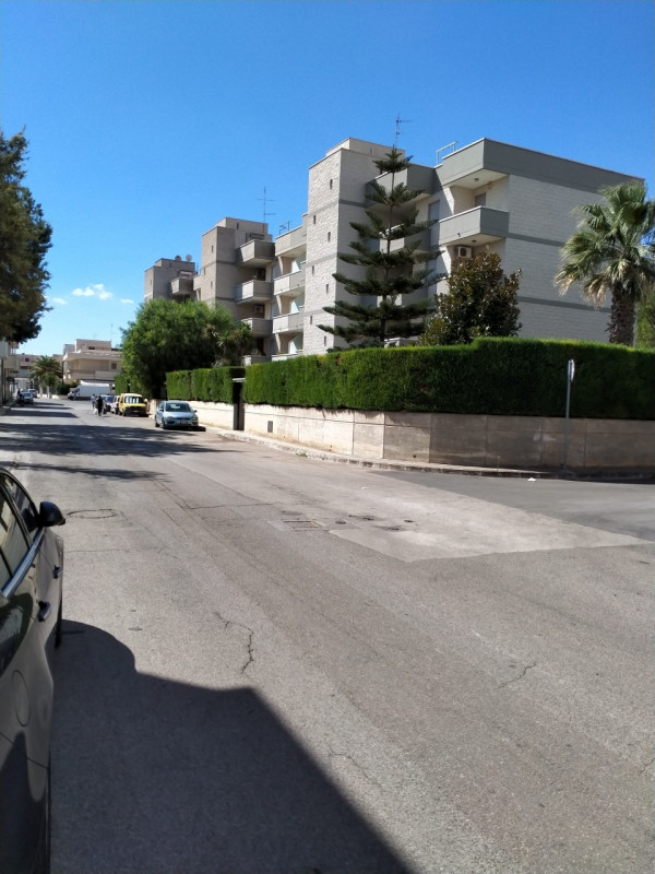 immagine annuncio 2 di 4