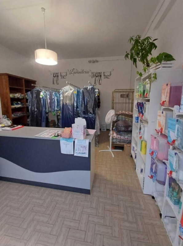 immagine annuncio 1 di 8