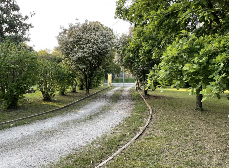 immagine annuncio 5 di 6