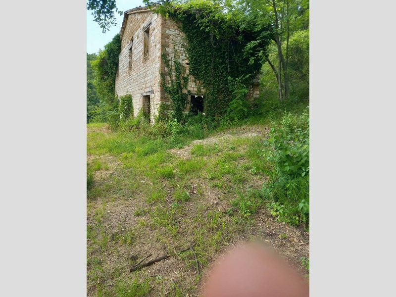 immagine annuncio 6 di 10