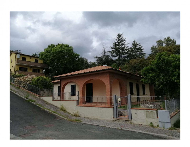 immagine annuncio 4 di 7