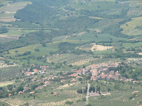 immagine annuncio 3 di 8