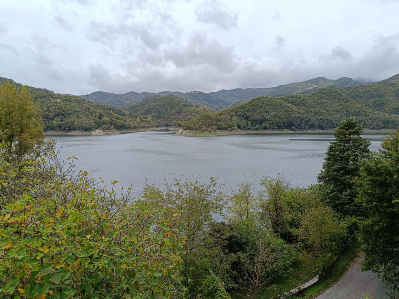 immagine annuncio 4 di 6