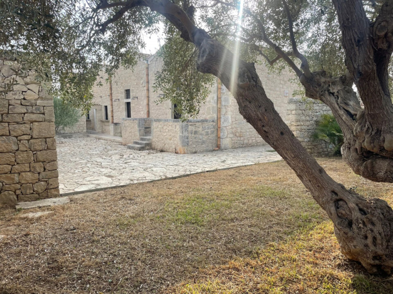 immagine annuncio 4 di 6