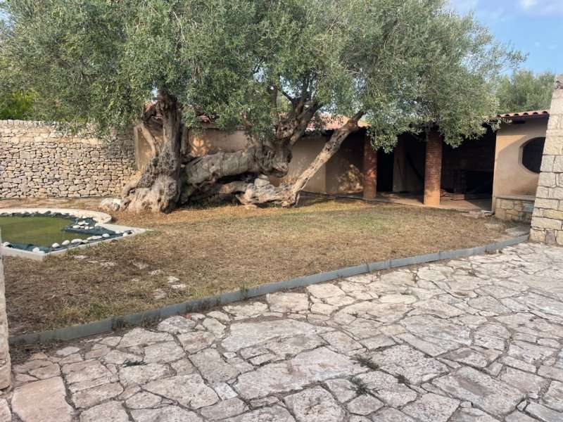 immagine annuncio 2 di 6