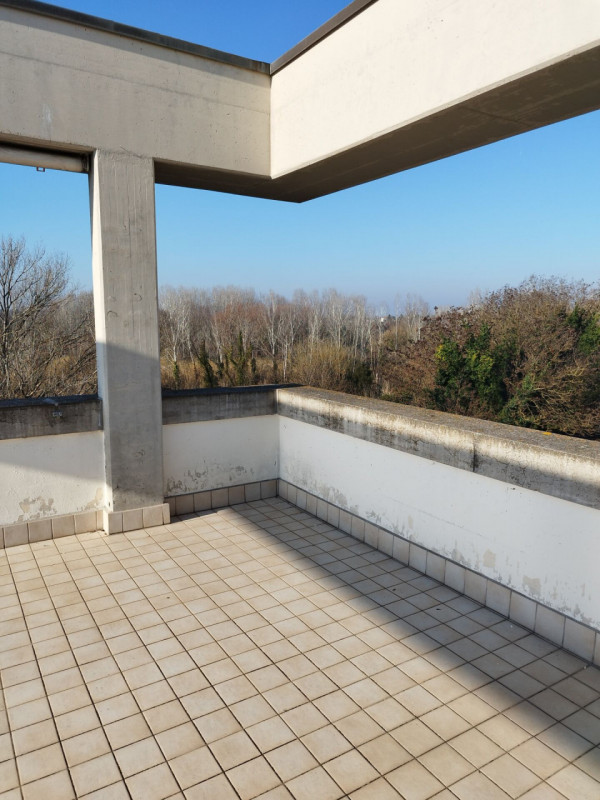 immagine annuncio 3 di 8