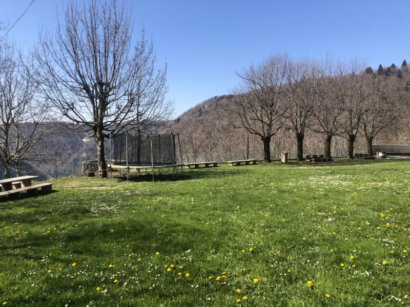 immagine annuncio 1 di 10