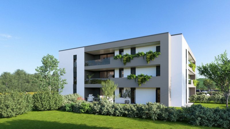 immagine annuncio 2 di 6