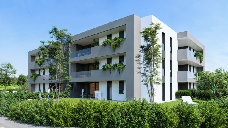 immagine annuncio 5 di 6