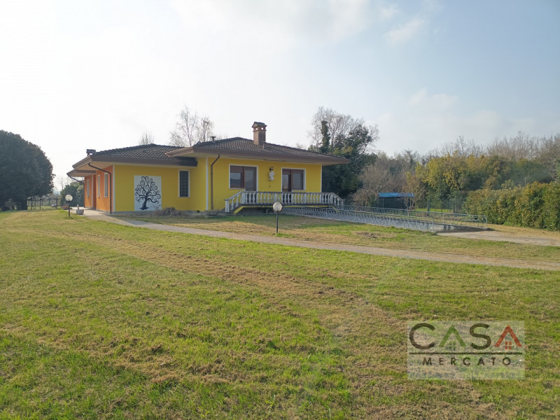 immagine annuncio 1 di 10