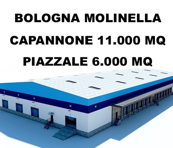 immagine annuncio 1 di 2