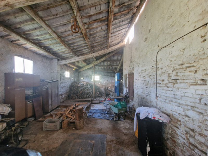 immagine annuncio 2 di 8