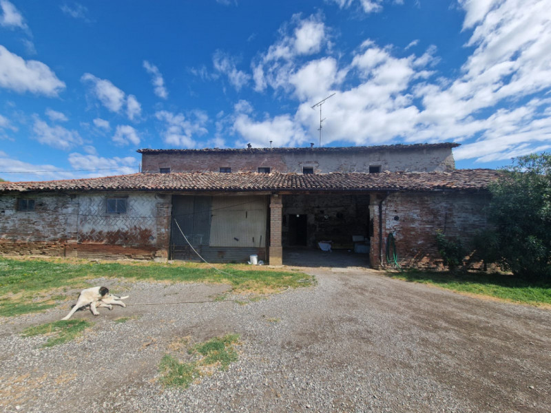 immagine annuncio 4 di 8