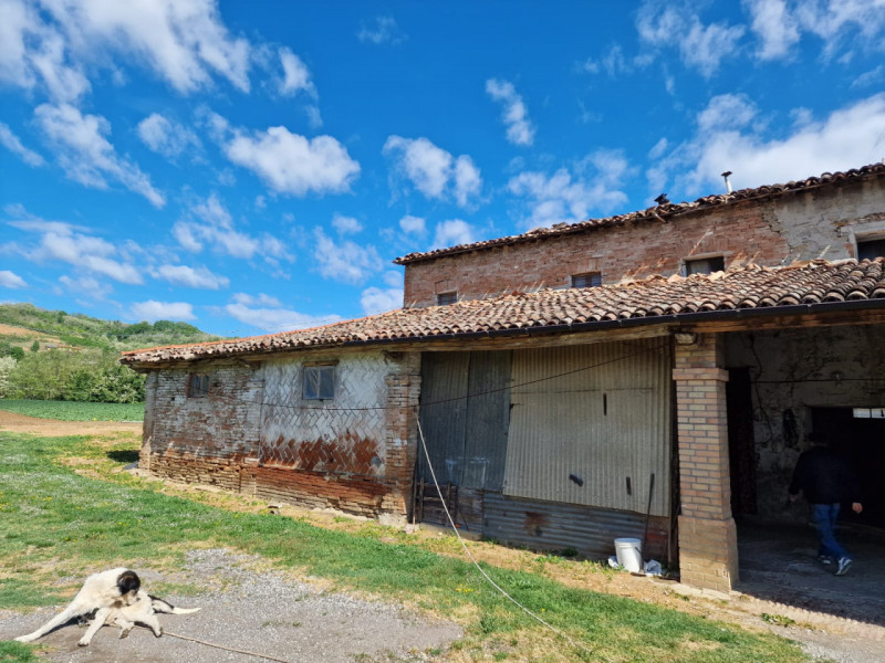 immagine annuncio 5 di 8