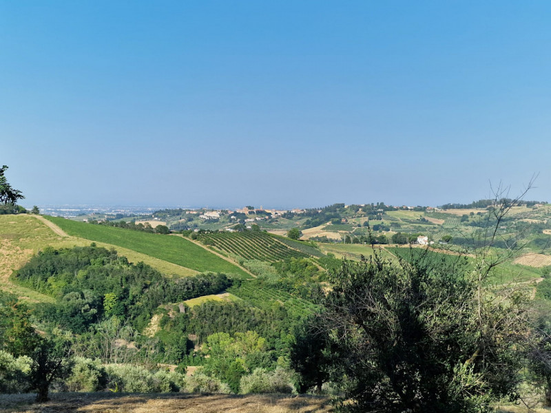 immagine annuncio 1 di 4