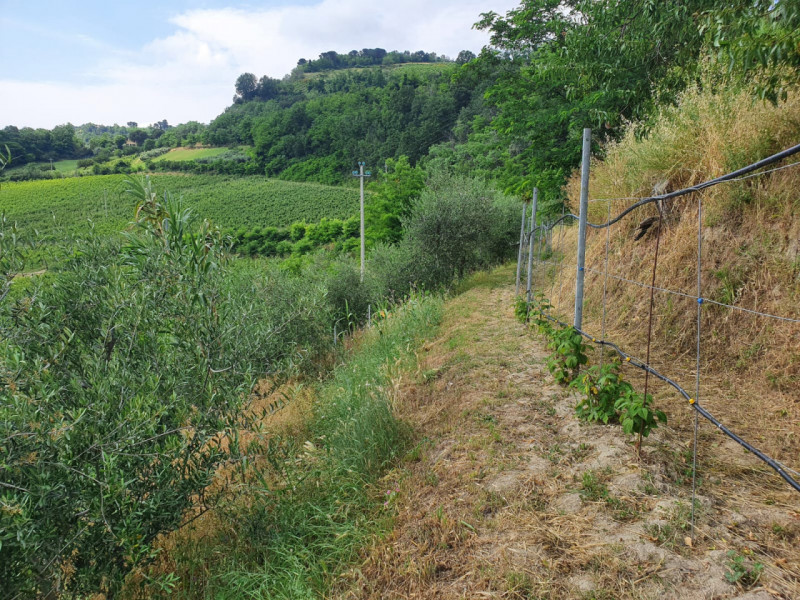 immagine annuncio 6 di 10