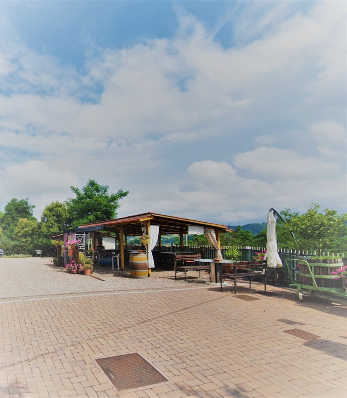 immagine annuncio 7 di 10