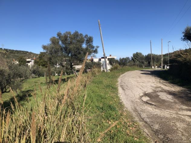 immagine annuncio 1 di 6