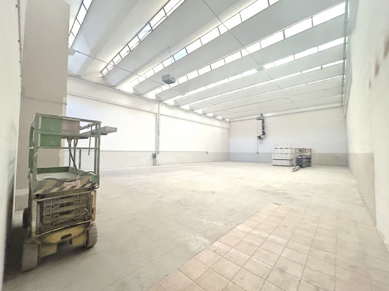 esavano in affitto a Cesena in zona Torre del Moro