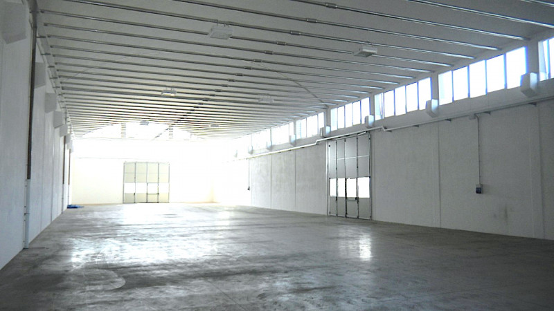 immagine annuncio 1 di 6