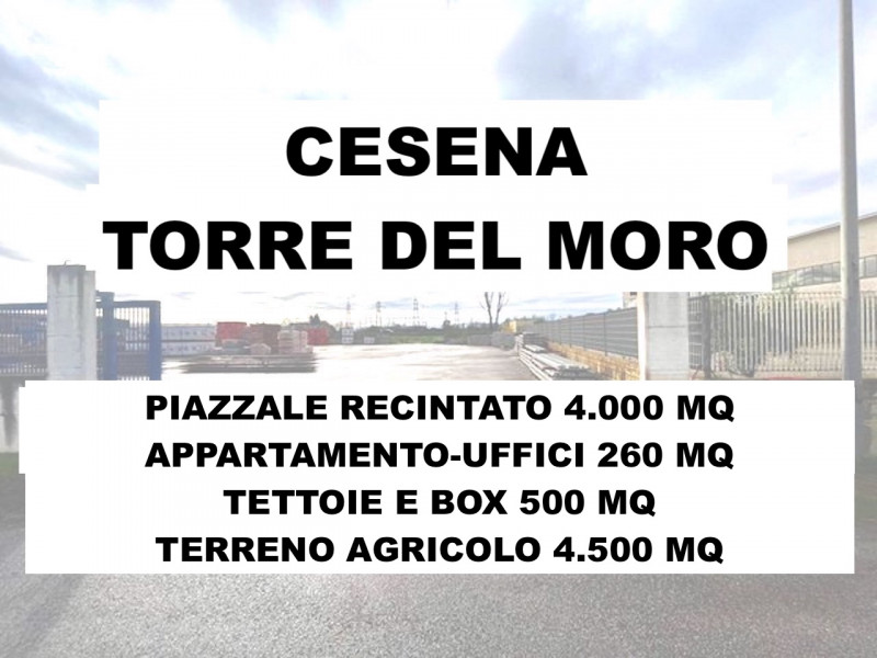 immagine annuncio 1 di 2