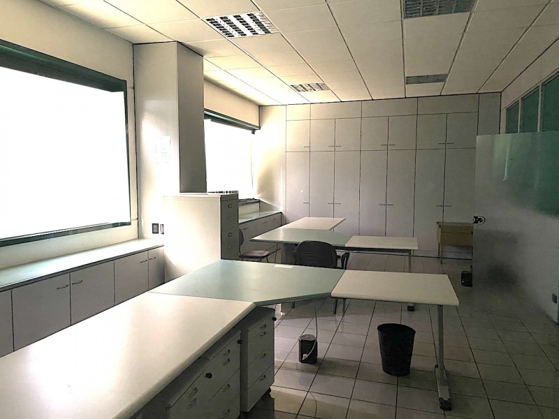 immagine annuncio 4 di 7