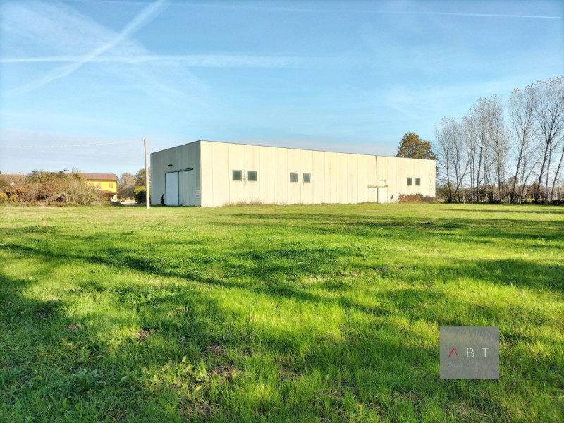 immagine annuncio 4 di 6