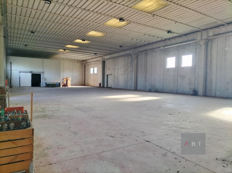 immagine annuncio 2 di 6