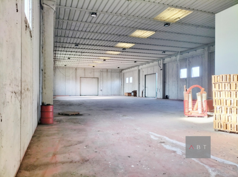 immagine annuncio 1 di 6