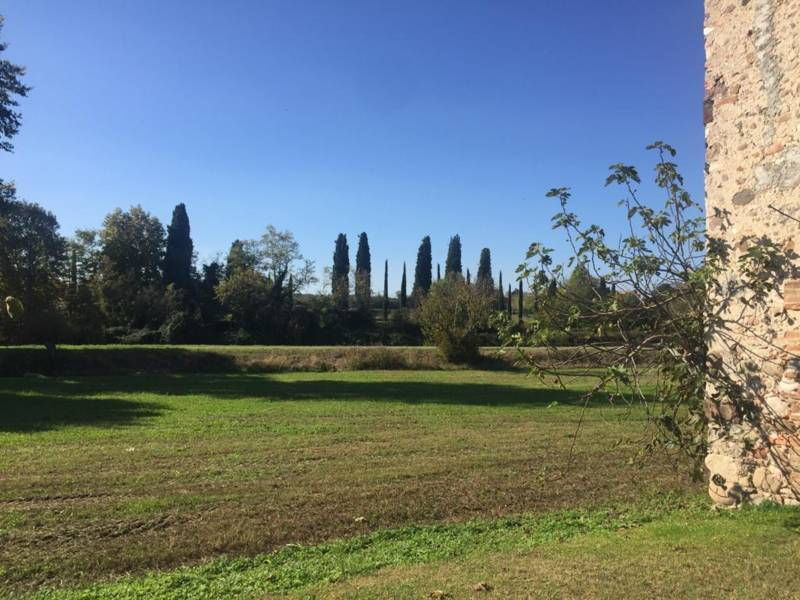 immagine annuncio 4 di 8