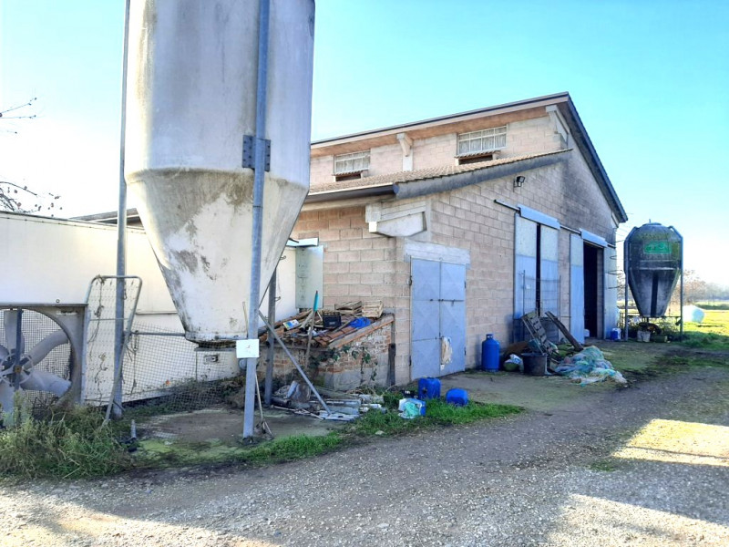immagine annuncio 8 di 10