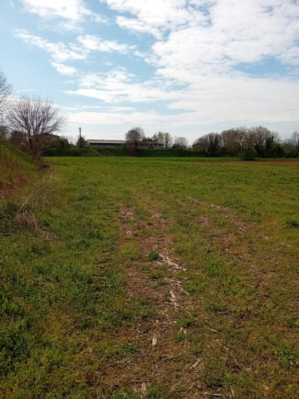 immagine annuncio 2 di 9