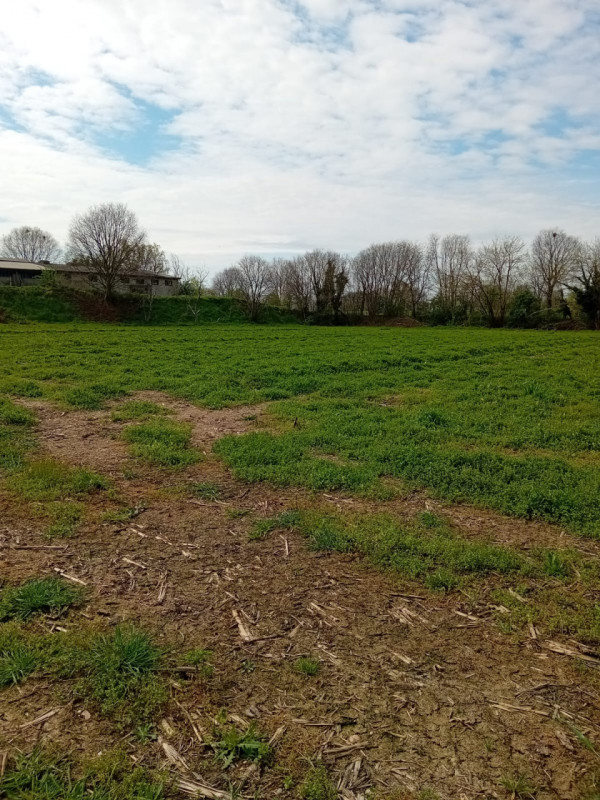 immagine annuncio 1 di 9