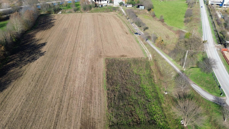 immagine annuncio 4 di 9