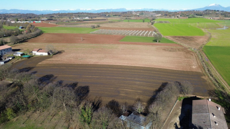 immagine annuncio 6 di 9