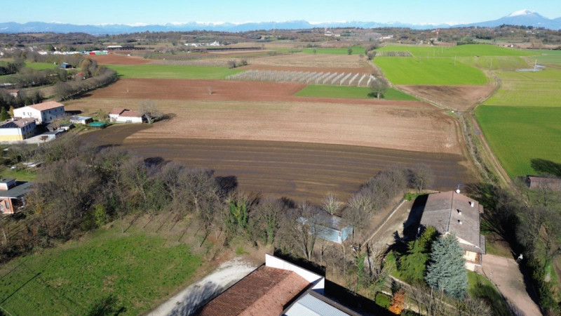 immagine annuncio 4 di 9