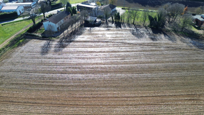 immagine annuncio 7 di 9