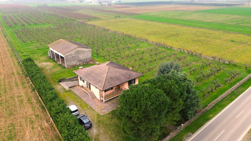 immagine annuncio 4 di 10