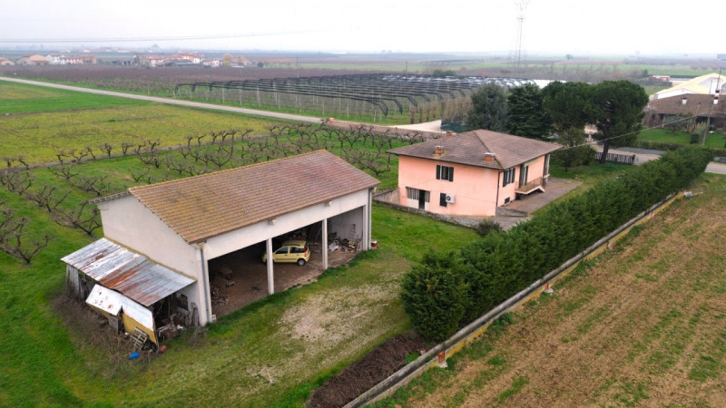 immagine annuncio 4 di 10