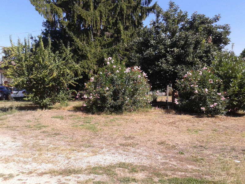 immagine annuncio 7 di 9