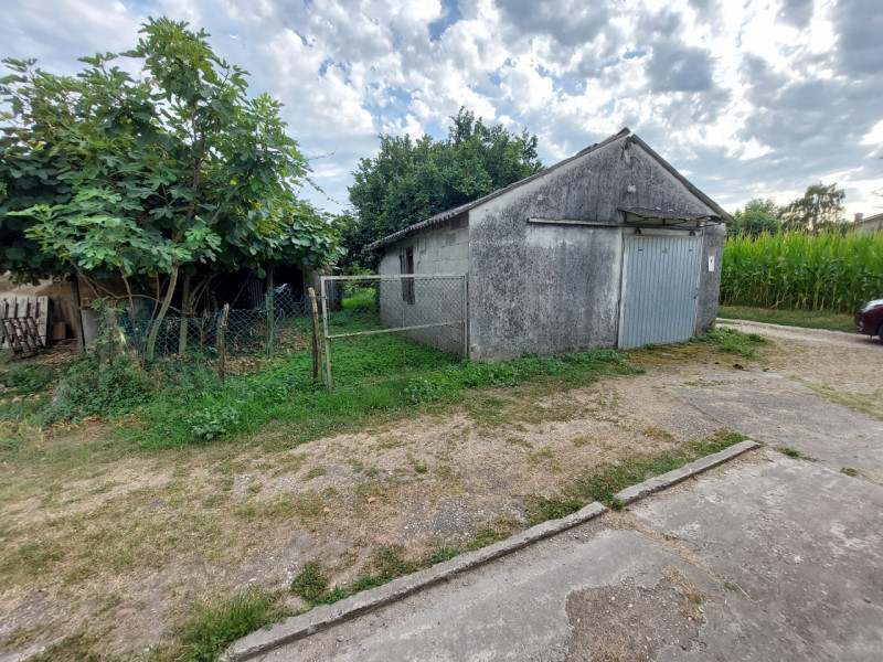 immagine annuncio 9 di 10